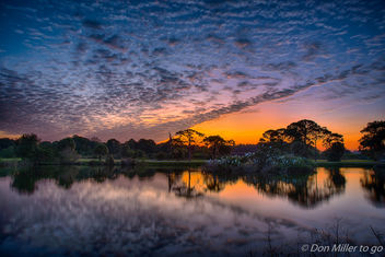 Morning Glow - image gratuit #400085